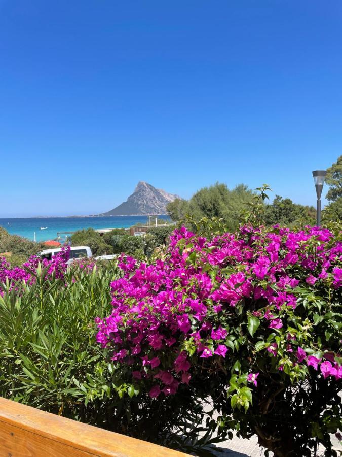 Tavolara Paradise Home ปอร์โตซานเปาโล ภายนอก รูปภาพ